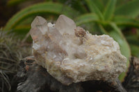 Natural Hematoid Quartz Specimens  x 4 From Zimbabwe - TopRock