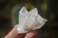 Natural Single Etched Clear Quartz Crystals x 70 From Mpika, Zambia