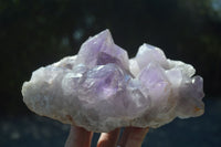 Natural Jacaranda Amethyst Clusters  x 2 From Zambia - Toprock Gemstones and Minerals 