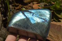 Polished Labradorite Standing Free Forms With Intense Blue & Gold Flash x 3 From Sakoany, Madagascar - TopRock