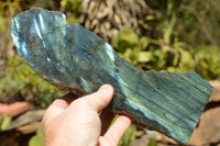 Polished Labradorite Standing Free Forms With Blue & Gold Flash  x 2 From Tulear, Madagascar - TopRock