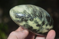 Polished Spotted Leopard Stone Standing Free Forms  x 6 From Zimbabwe - Toprock Gemstones and Minerals 