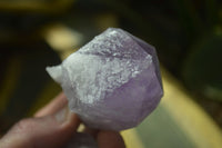 Natural Single Jacaranda Amethyst Crystals x 12 From Mumbwe, Zambia