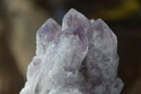 Natural Sugar Amethyst Clusters  x 12 From Zambia - Toprock Gemstones and Minerals 