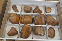 Polished Golden Tigers Eye Free Forms x 12 From Prieska, Northern Cape