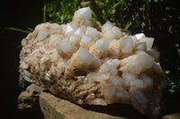 Natural Extra Large White Phantom Pineapple Quartz Cluster  x 1 From Madagascar - Toprock Gemstones and Minerals 