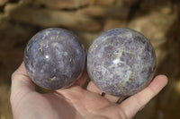 Polished Purple Lepidolite & Rubellite Spheres  x 8 From Madagascar