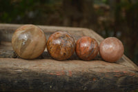 Polished Flashy Peach Moonstone Spheres  x 6 From Madagascar - Toprock Gemstones and Minerals 