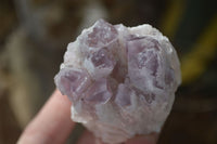 Natural Sugar Amethyst Clusters  x 12 From Zambia - Toprock Gemstones and Minerals 