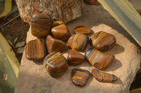 Polished Golden Tigers Eye Free Forms x 12 From Prieska, Northern Cape