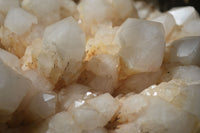 Natural Extra Large White Phantom Pineapple Quartz Cluster  x 1 From Madagascar - Toprock Gemstones and Minerals 