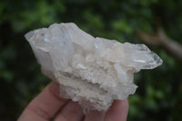 Natural Clear Quartz Clusters  x 12 From Zambia - Toprock Gemstones and Minerals 