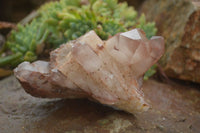 Natural Hematoid Quartz Specimens  x 4 From Zimbabwe - TopRock