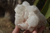 Natural White Candle Quartz Crystals  x 3 From Madagascar