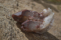 Natural Red Hematoid Quartz Specimens x 12 From Karoi, Zimbabwe