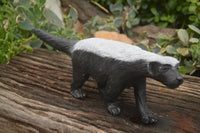 Polished Soap Stone Honey Badger Carving - Sold per piece - From Zimbabwe - TopRock