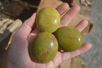 Polished Green Opal Palm Stones  x 12 From Antsirabe, Madagascar - Toprock Gemstones and Minerals 