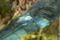 Polished Labradorite Standing Free Forms With Blue & Gold Flash  x 2 From Tulear, Madagascar - TopRock