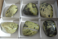 Polished  Green Leopard Stone Free Forms  x 6 From Zimbabwe