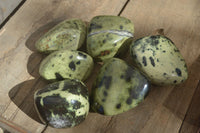 Polished  Green Leopard Stone Free Forms  x 6 From Zimbabwe