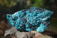 Natural Malacholla (Malachite & Chrysocolla) Specimens  x 3 From Congo