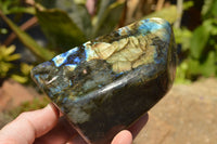 Polished Labradorite Standing Free Forms With Intense Blue & Gold Flash x 3 From Sakoany, Madagascar - TopRock