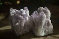 Natural Sugar Amethyst Clusters  x 12 From Zambia - Toprock Gemstones and Minerals 