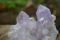 Natural Jacaranda Amethyst Clusters  x 3 From Mumbwa, Zambia - Toprock Gemstones and Minerals 