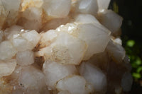 Natural Extra Large White Phantom Pineapple Quartz Cluster  x 1 From Madagascar - Toprock Gemstones and Minerals 