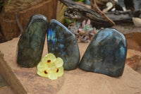 Polished Flashy Labradorite Standing Free Forms  x 3 From Tulear, Madagascar - TopRock