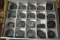 Polished Labradorite Palm Stones  x 20 From Tulear, Madagascar