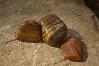 Polished Golden Tigers Eye Free Forms x 12 From Prieska, Northern Cape