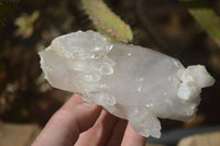 Natural Clear Quartz Clusters & Crystals  x 12 From Madagascar