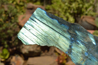 Polished Labradorite Standing Free Forms With Blue & Gold Flash  x 2 From Tulear, Madagascar - TopRock