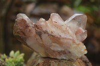 Natural Hematoid Quartz Specimens  x 4 From Zimbabwe - TopRock