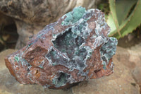 Natural Drusy Coated Ball Malachite On Dolomite Specimen x 1 From Likasi, Congo