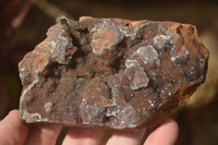 Natural Drusy Coated Dolomite With Hematite & Libethenite Specimens  x 4 From Congo