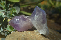 Natural Single Jacaranda Amethyst Crystals x 12 From Mumbwe, Zambia