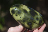 Polished Spotted Leopard Stone Standing Free Forms  x 6 From Zimbabwe - Toprock Gemstones and Minerals 