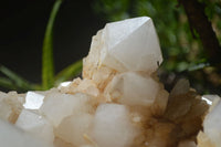 Natural Extra Large White Phantom Pineapple Quartz Cluster  x 1 From Madagascar - Toprock Gemstones and Minerals 