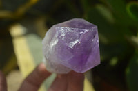 Natural Single Jacaranda Amethyst Crystals x 12 From Mumbwe, Zambia