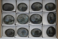 Polished Blue & Gold Labradorite Palm Stones  x 12 From Tulear, Madagascar - Toprock Gemstones and Minerals 