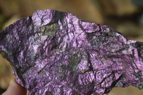 Natural Large Metallic Purpurite Cobbed Specimens x 2 From Erongo, Namibia