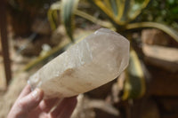 Polished Double Terminated Smokey Quartz Crystals  x 3 From Madagascar