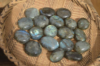 Polished Labradorite Palm Stones  x 20 From Tulear, Madagascar