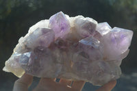 Natural Jacaranda Amethyst Cluster x 1 From Zambia - Toprock Gemstones and Minerals 