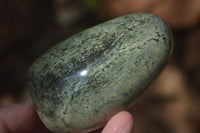 Polished Spotted Leopard Stone Standing Free Forms  x 6 From Zimbabwe - Toprock Gemstones and Minerals 