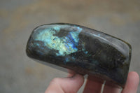 Polished Flashy Labradorite Standing Free Forms  x 3 From Tulear, Madagascar - TopRock