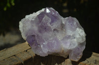 Natural Jacaranda Amethyst Clusters  x 2 From Zambia - Toprock Gemstones and Minerals 