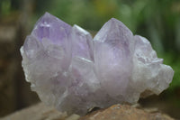 Natural Jacaranda Amethyst Clusters  x 3 From Mumbwa, Zambia - Toprock Gemstones and Minerals 